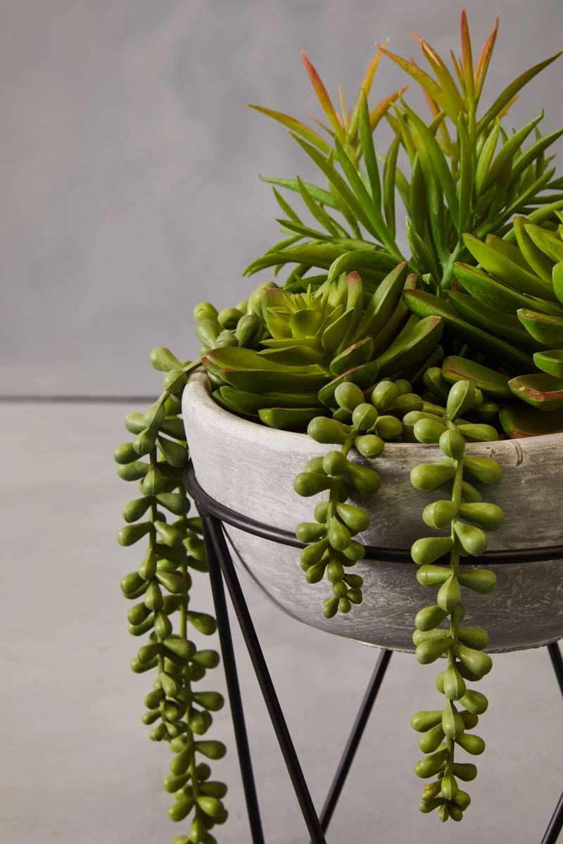 36Cm Faux Succulent Plant in Stone Planter