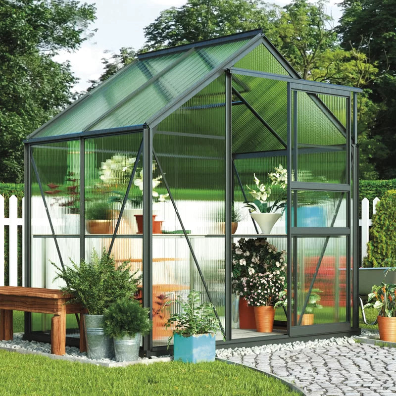 Wysocki 6 Ft W X 4 Ft D Greenhouse