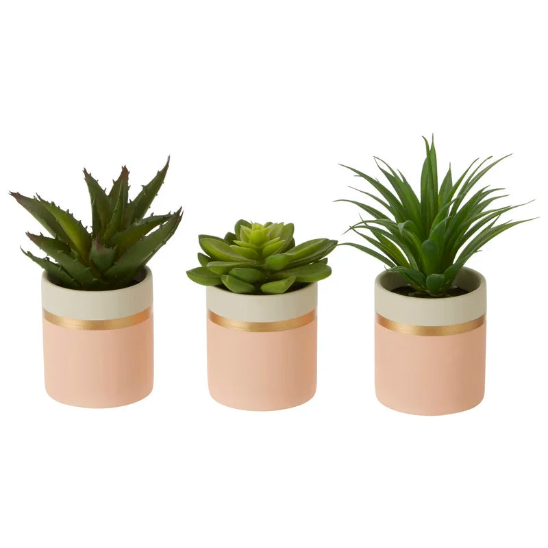 10Cm Faux Succulent Plant in Ceramic Pot