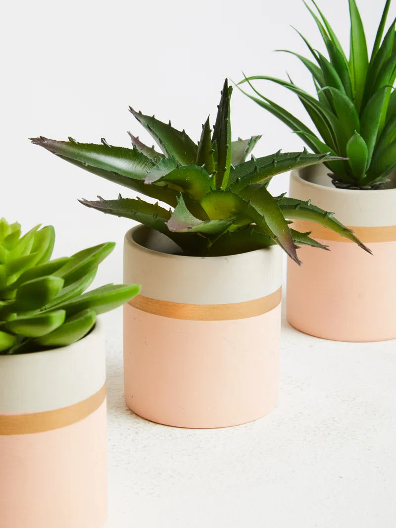 10Cm Faux Succulent Plant in Ceramic Pot