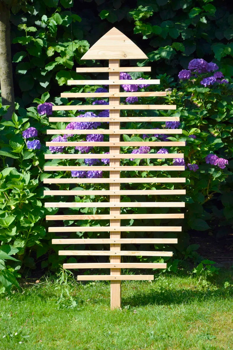 160Cm H X 84Cm W Wood Curved Trellis