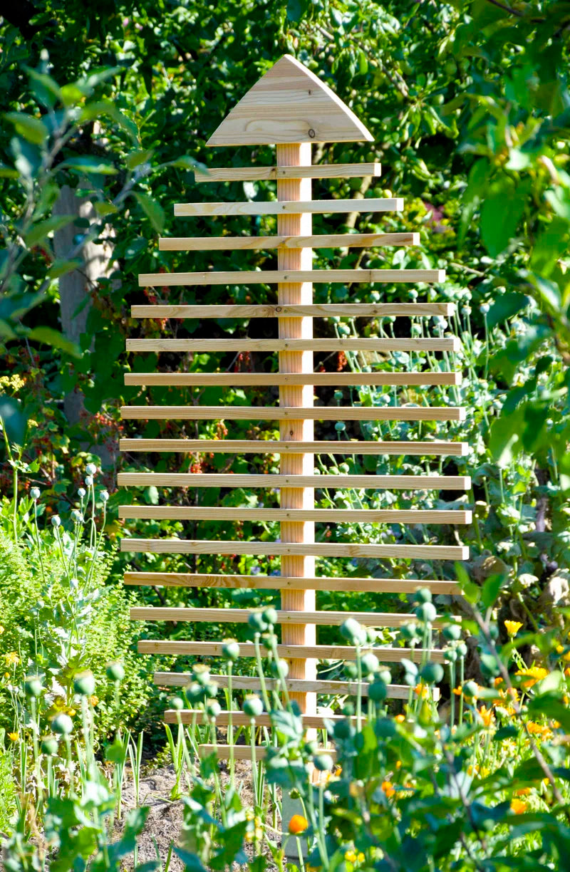 160Cm H X 84Cm W Wood Curved Trellis