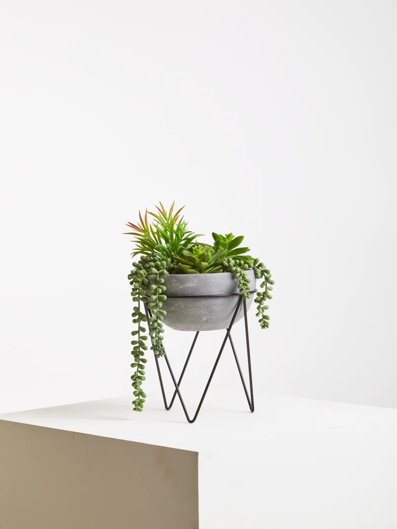 36Cm Faux Succulent Plant in Stone Planter